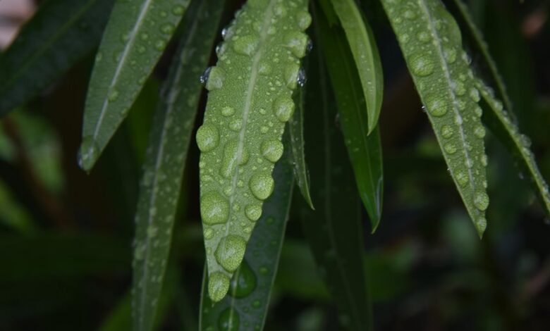 regional call drop analysis