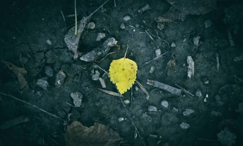 seasonal demand pattern analysis