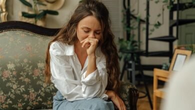 decorator advice network online